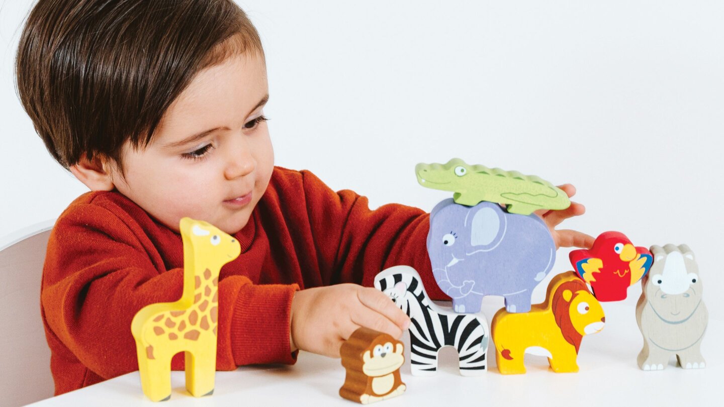 Stacking Blocks Kinder Choosing the Best Wooden Stacking Blocks – Tiny Steps Kids