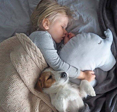 Jabadabado_Elephant_Pillow-grey-hugging-toddler-and-dog